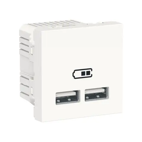 Sista chansen Schneider Electric NU341818 USB-laddare